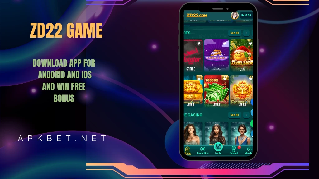 zd22 game interface